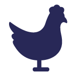 blue chicken icon graphic