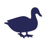 blue duck icon graphic
