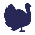 blue turkey icon graphic