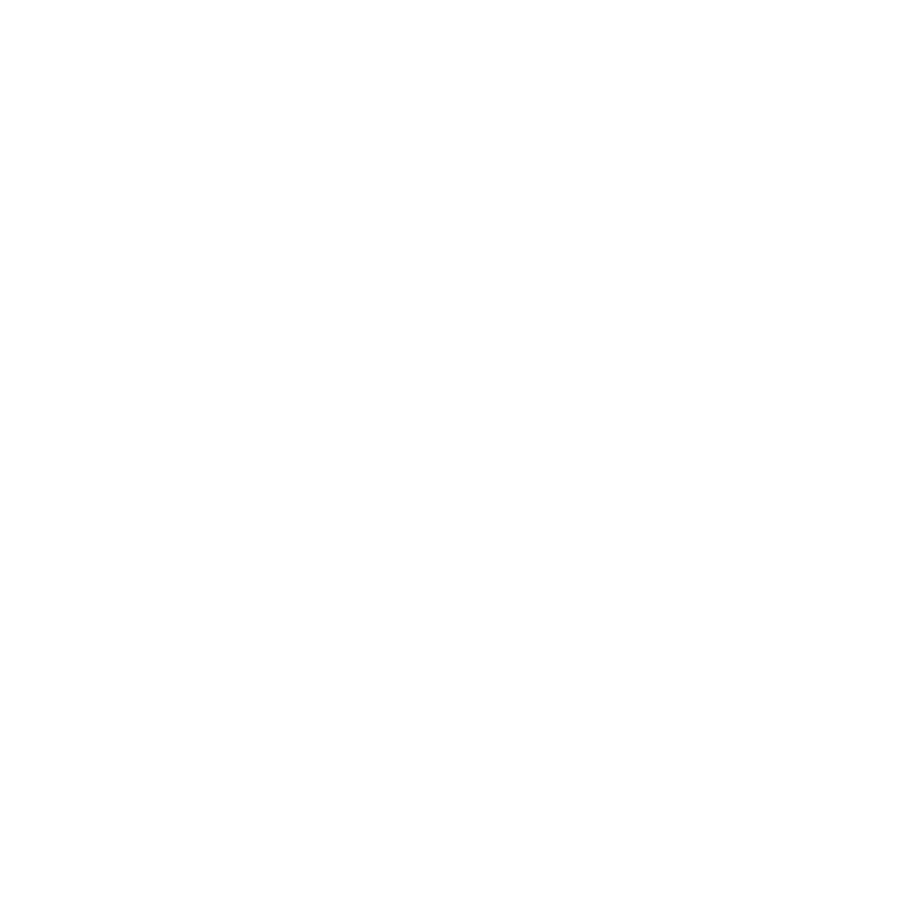 USA Poultry logo stacked white
