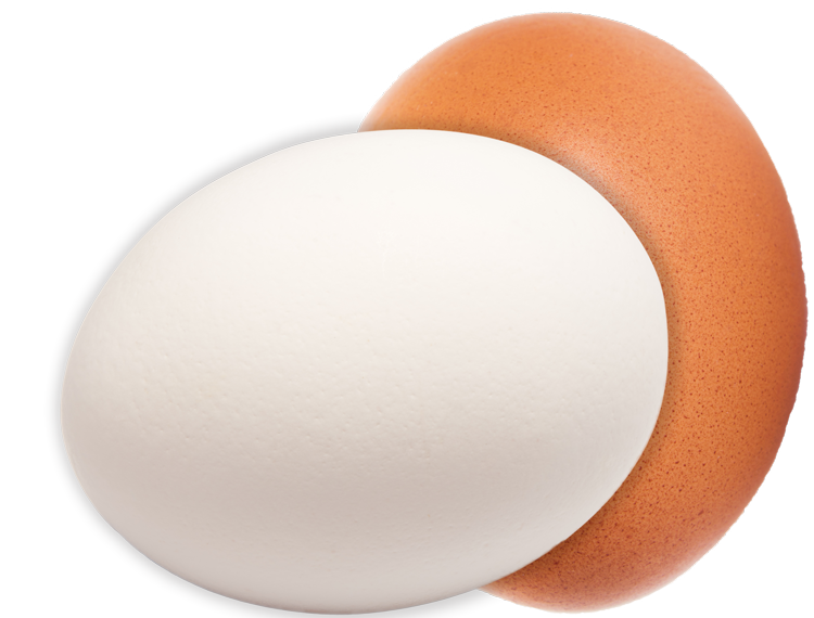 white and brown egg leaning together