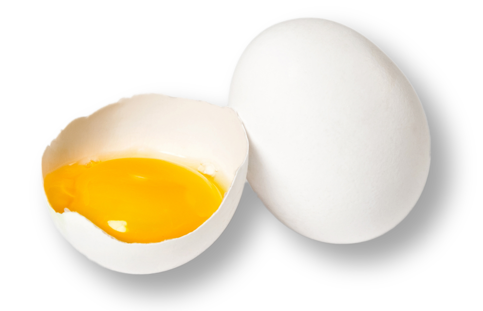artboard_styled white egg