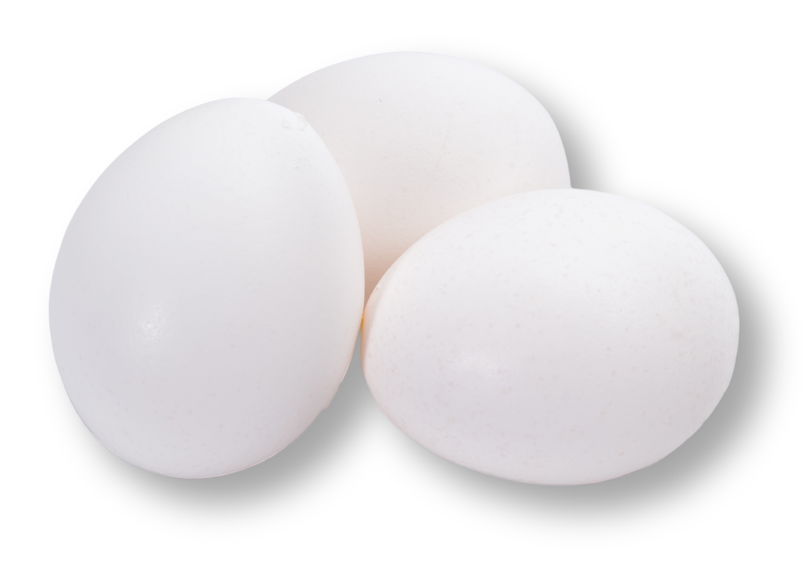 group-white-eggs-39