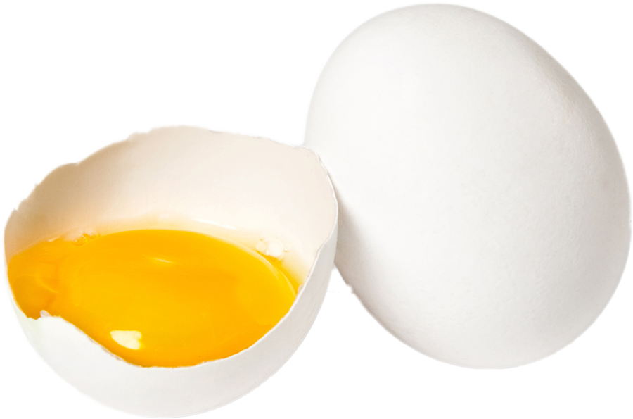 white-egg-cracked-new